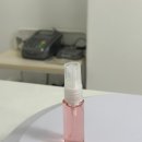 고양이 무마취 미용전문 이미지