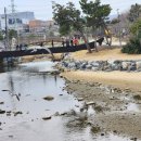 동해시-03 이미지