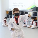 삼호(태권도) 이미지