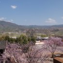 사시마을 이미지