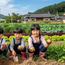 연동농장 | 2026 체험형 귀농으로 수익 만들기｜농장 운영부터 예약까지 현실 전략 대공개