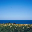 유민미술관 이미지