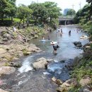 솜반내(솜반천) 이미지