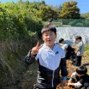 용인대가람태권도장 이미지