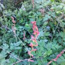 논개생가지 이미지