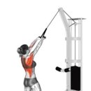 하이토탈피트니스 이미지