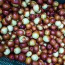 초촌농장 이미지