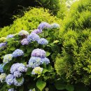 내촌마을 이미지