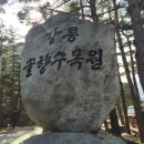 강릉솔향도시락 이미지