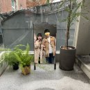 투헨즈