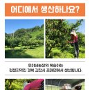 호야네농장 이미지