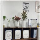 이&전 행정사 사무소 이미지