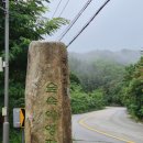 캠핑한잔 | 비 오는 날 강원도 여름 캠핑 🌲 국립화천숲속야영장 캠핑하려다 차박한 후기