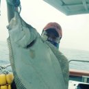 레드피싱호