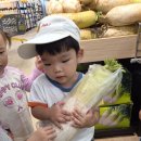 마트에 다녀왔어요.(지역사회연계), 채수팩을 만들어요. 이미지