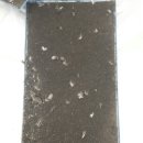 크린솔루션 이미지