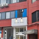 용산-186 | 용산 소개팅 여기서 하세요 세렌디피크닉 후기♥️