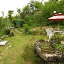 야생화테마펜션 이미지