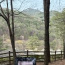 제타덴트칼라 - 북구 만덕대로 68 | [볼보 XC40] 볼붕이 첫 수리,,