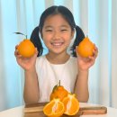 달콤하니 이미지