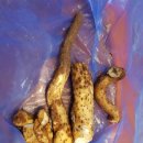 수겸농장 이미지