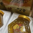 농라후기 | 용진산 벌꿀 후기 / 벌꿀 먹는방법