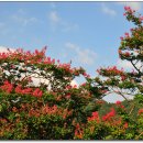 춘향테마파크 이미지