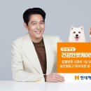 건강한펫 이미지