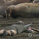 (주)더해빙