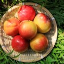 종로본정형외과의원 이미지