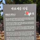 특수전사령부(제주훈련장) | 함병선 공적비 옆 바로세운 진실(2026.04.03)