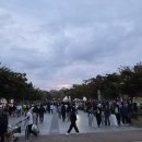 주제공원4호(공원관리사업소) | 김포라베니체 축제 가을축제 방문 후기 아쉬운 점