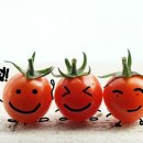 서초대로54길 33 이미지