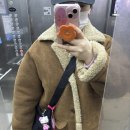 삼대약국 | [ 임신기록 3 ] 임신 12주~17주 강력한 입덧과 미칠듯한 두통 시작