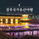 경북드론고 | 2025 경주국가유산야행 2박 3일 참여후기