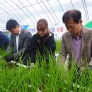 부귀농장 이미지