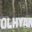 솔향수목원(암석원) 이미지