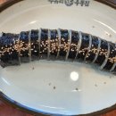 수유리우동집(군산디오션점) 이미지