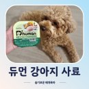 복슬강아지 | [애개육아] 듀먼 #강아지영양식 #내돈내산 후기, 강아지 사료 저렴하게 사는 법, 알러지없는 습식사료