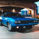 로이스자동차 이미지