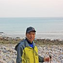 흑산도 Daum카페