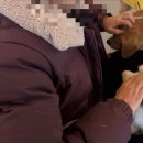 사랑하개 이미지