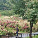 괴산군 산수원애국회, 제3차 산행 성료...백두대간수목원과 안동도매시장 방문 이미지