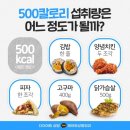 쓰리고점핑찜질 | [서울/동대문구 이문동] 다이어트를 위한 모든 것을 담은 고점핑&온열