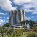 비봉우리콩두부 이미지