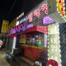 [수원 인계동] 단골 많은 '오이시이태영생막창 인계점', 내돈내산 재방문 후기