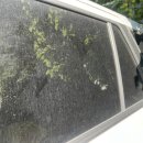 영남세차장 이미지