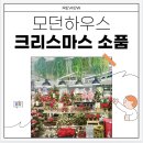 하우앤코 | 크리스마스 소품 선물에는 모던하우스 접시 추천