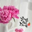오늘은좋은날 티스토리