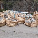 레디젯코리아 이미지